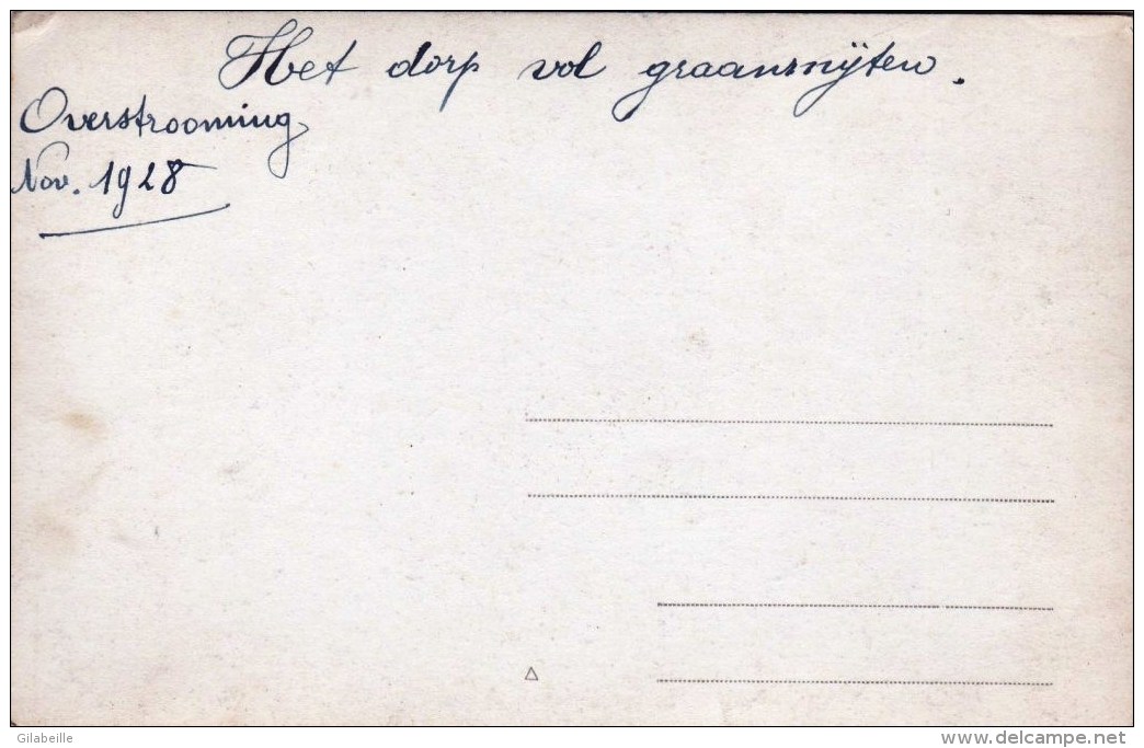 Pays Bas -  HET DORP VOL GRAANRNYTEN - Overstrooming Nov. 1928 - CARTE PHOTO - Rare - Sonstige & Ohne Zuordnung