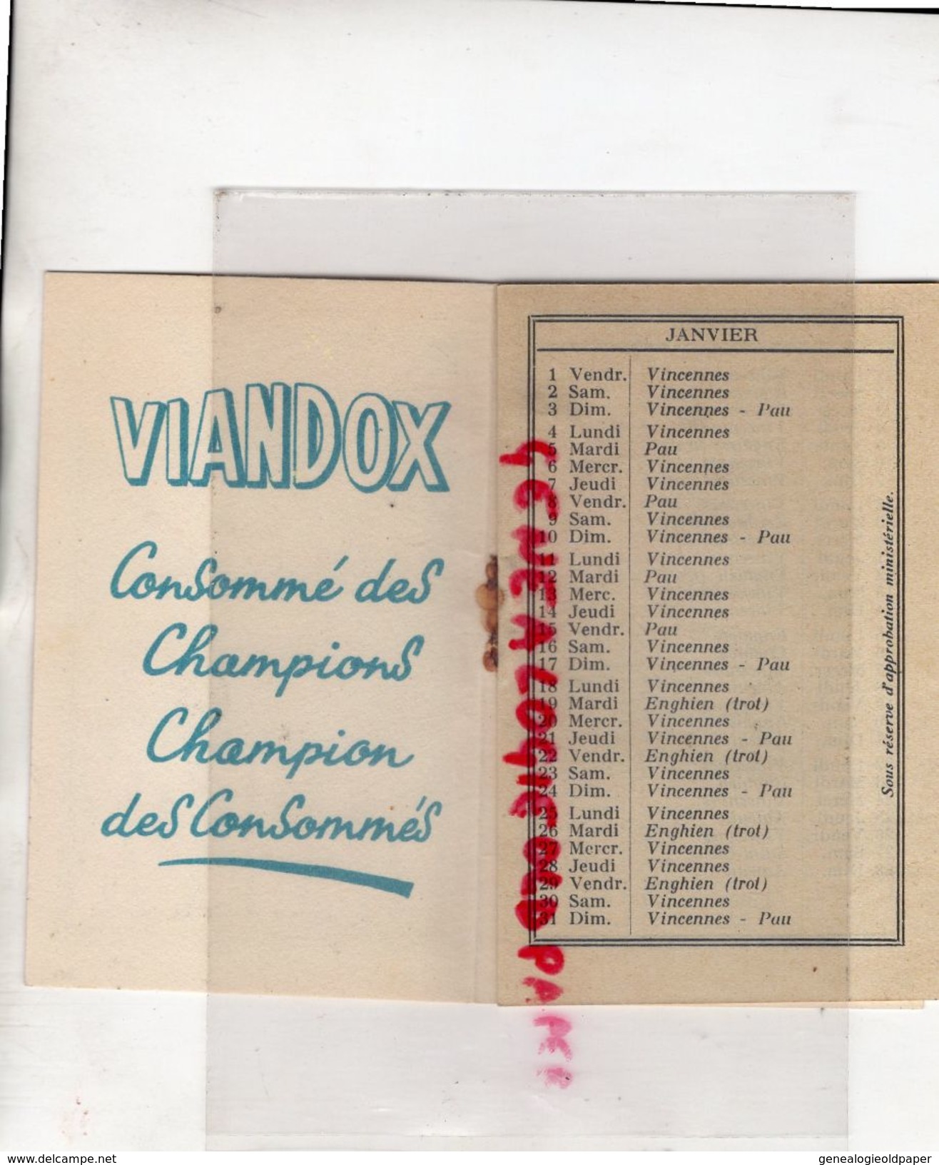 PETIT CALENDRIER 1954- VIANDOX- COURSES HIPPIQUES-HIPPISME- VIANDOX BAR-VINCENNES-ENGHIEN-AUTEUIL-MAISONS LAFFITTE- - Petit Format : 1941-60