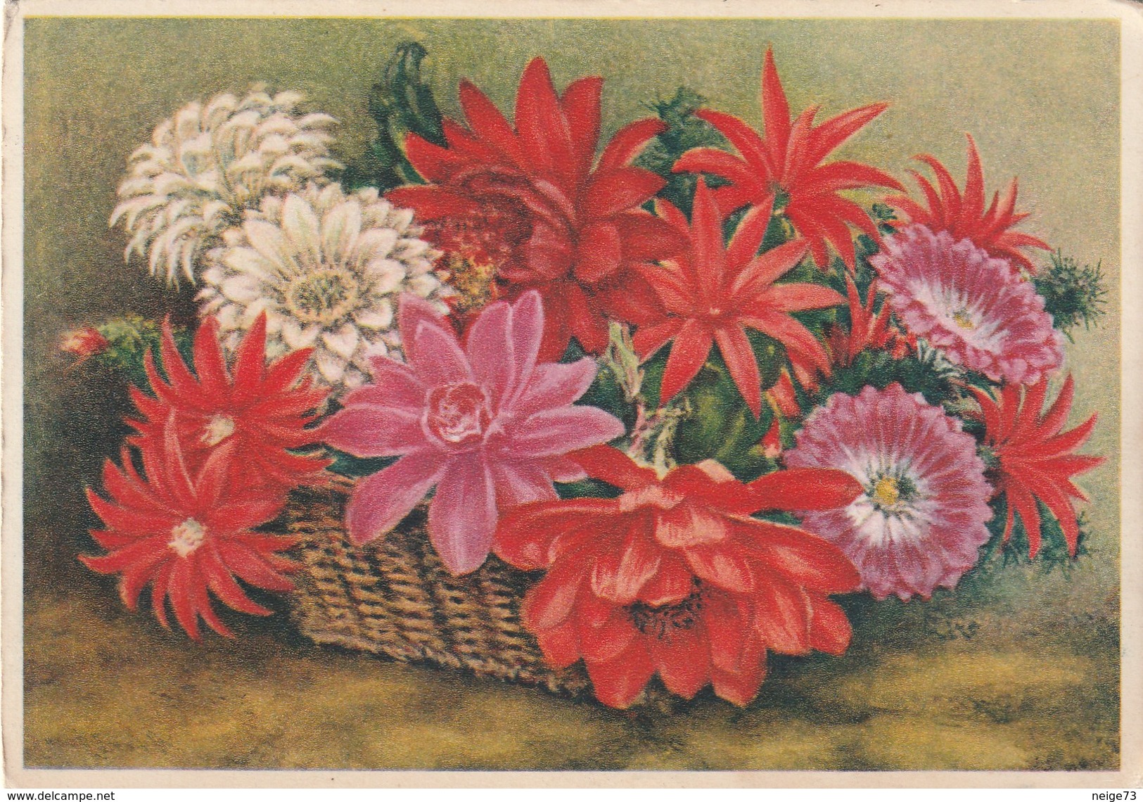 Carte Postale Des Années 50-60? Avec Des Fleurs - Autres & Non Classés