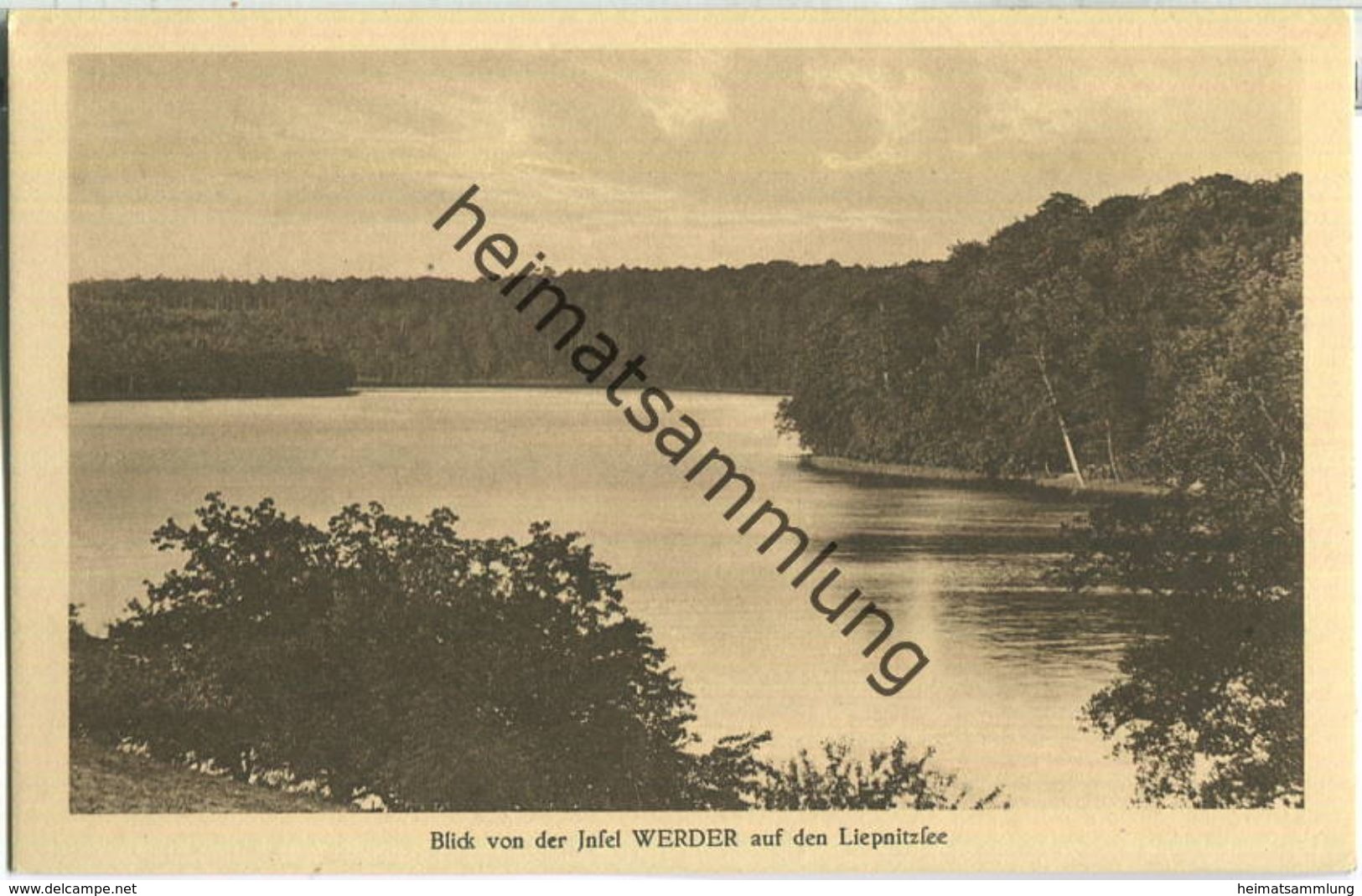 Liepnitzsee - Blick Von Der Insel Werder - Verlag J. Goldiner Berlin - Bernau