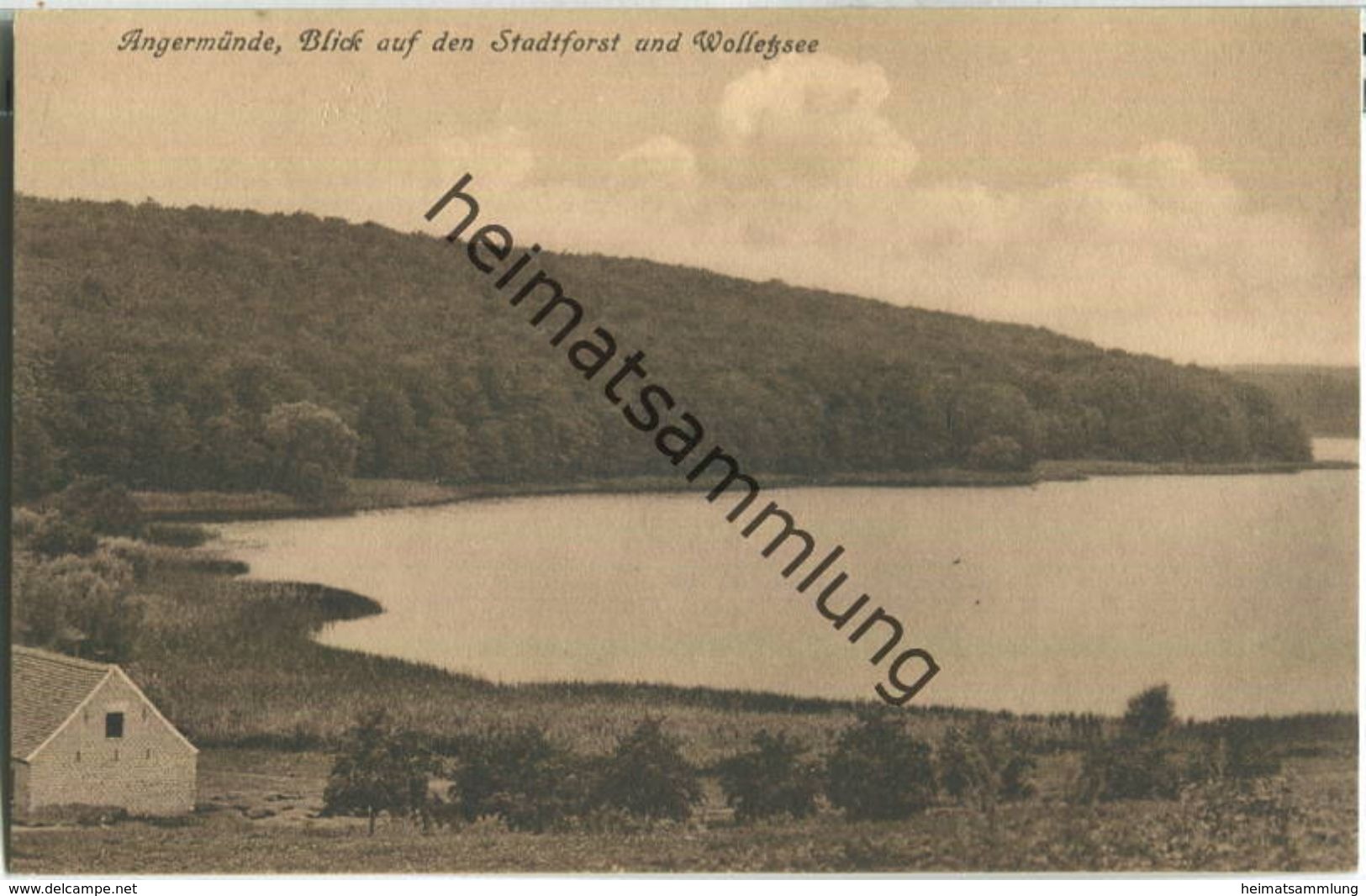 Angermünde - Stadtforst - Wolletzsee - Verlag C. Windolff Angermünde - Angermünde