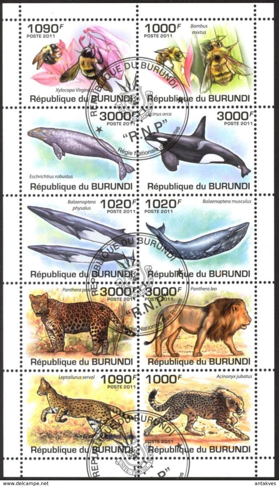 {BU03} Burundi 2011 Honey Bees Whales Wild Cats Lions Sheet Used / CTO - Gebruikt