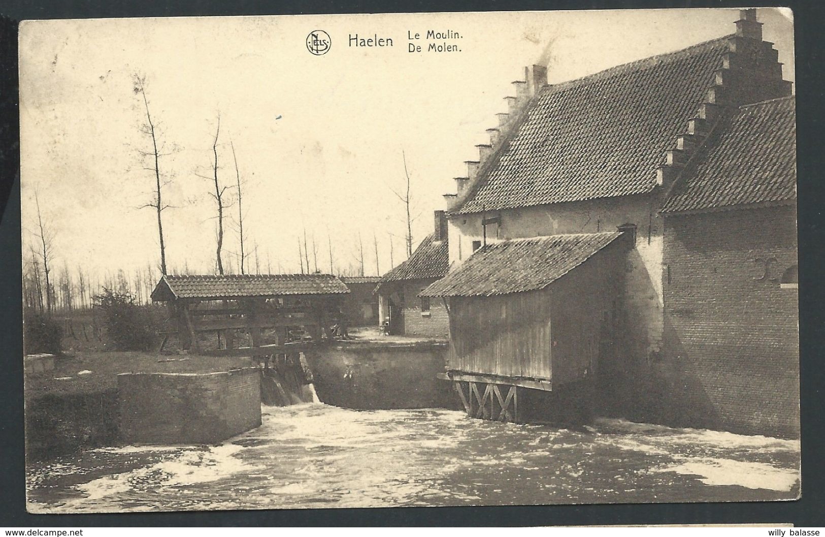 +++ CPA - HALEN - HAELEN - Moulin - Molen - Nels   // - Halen