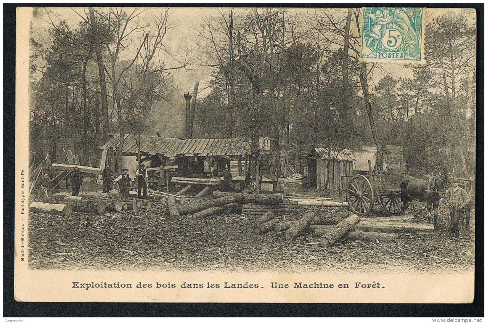 LANDES - 40 - Exploitation Des Bois -Une Machine En Forêt  -  Recto Verso-  Paypal Sans Frais - Other & Unclassified