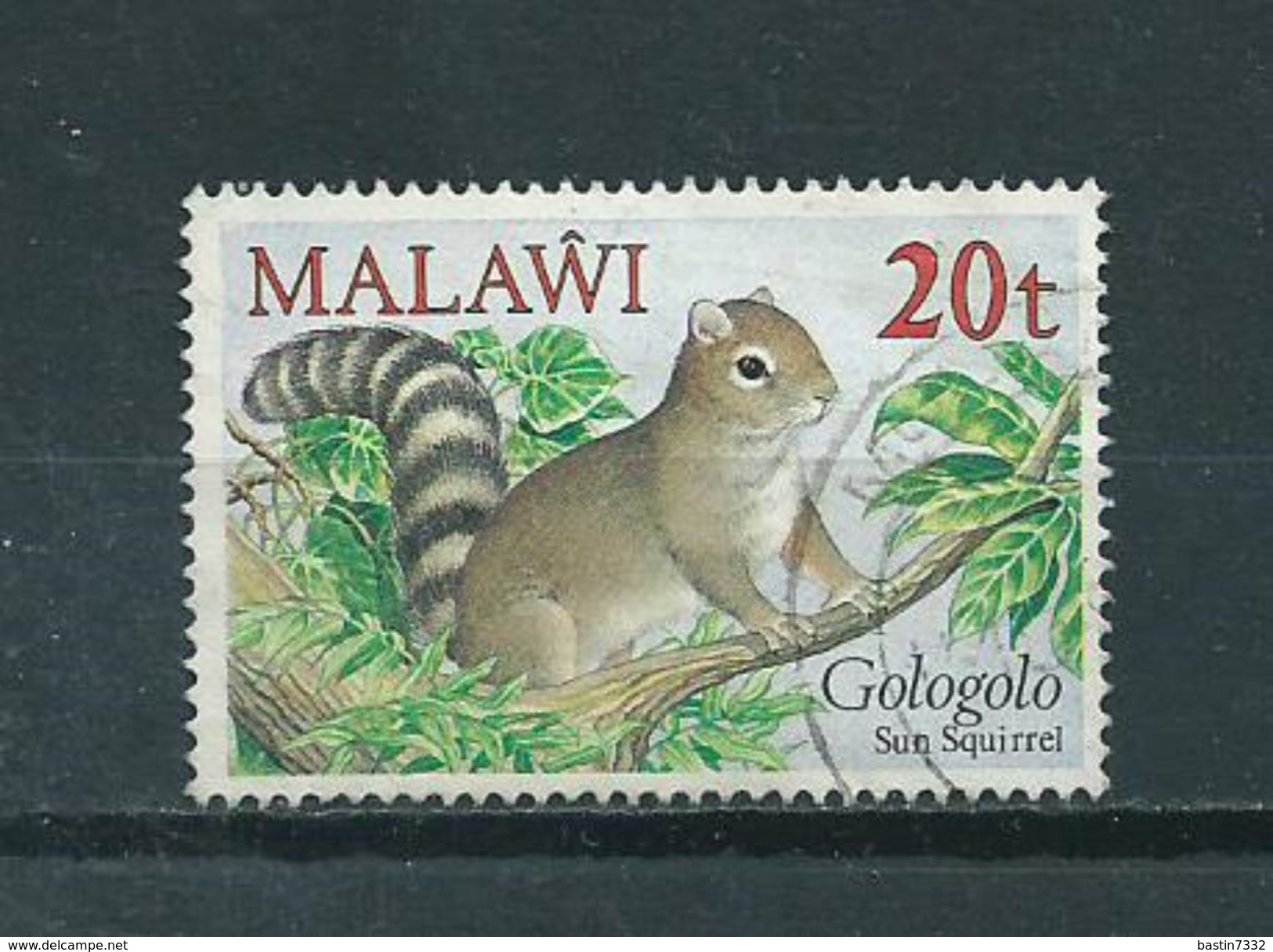 1984 Malawi Squirrel,animals,dieren,tiere 20t. Used/gebruikt/oblitere - Malawi (1964-...)