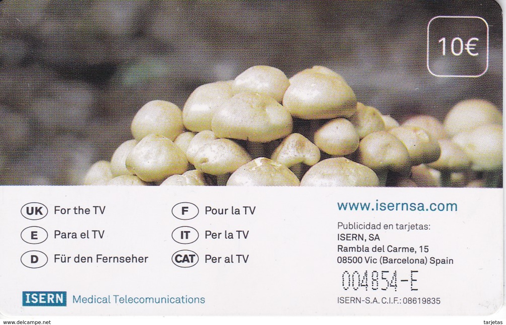 ISN-052 TARJETA DE ESPAÑA DE ISERN DE UNAS SETAS-MUSHROOM SERIE OTOÑO Nº2 (CON NUMERACION) - Emissions Basiques