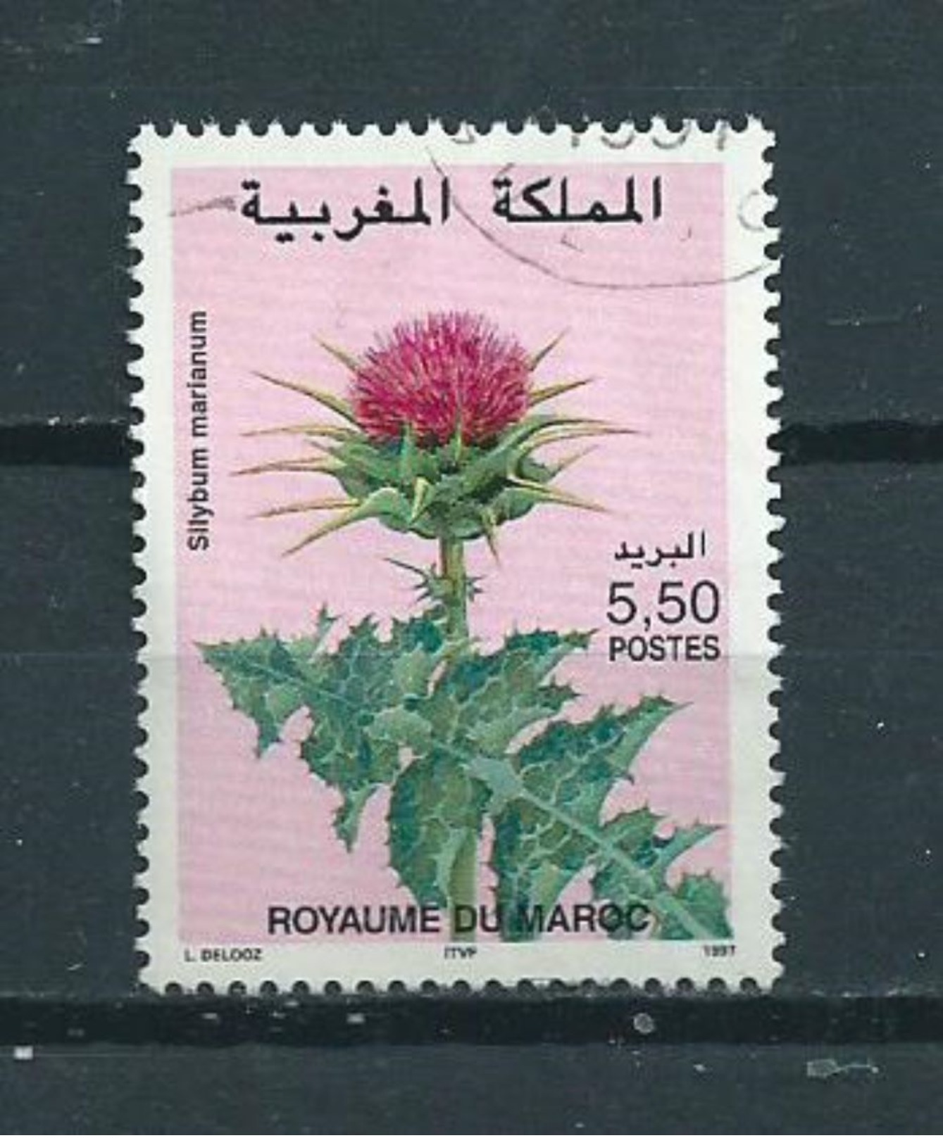 1997 Marokko Plants,papaver Used/gebruikt/oblitere - Marokko (1956-...)