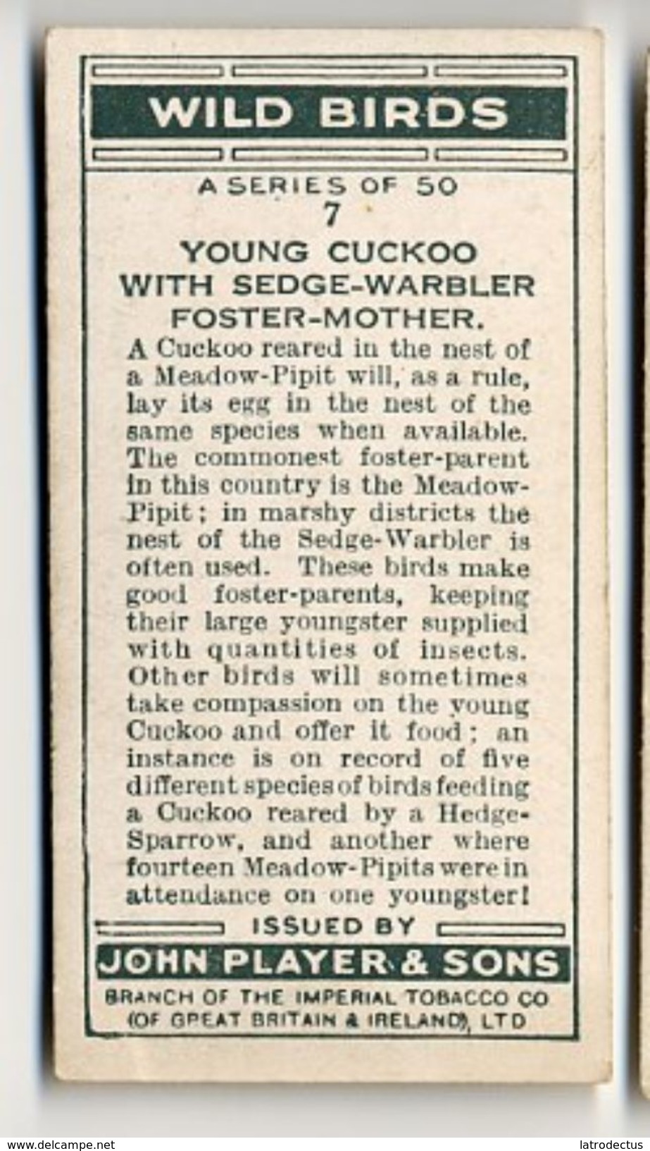 Player - 1932 - Wild Birds - 7 - Cuculus Canorus, Coucou Gris, Koekoek, Cuckoo, Sedge-Warbler - Player's