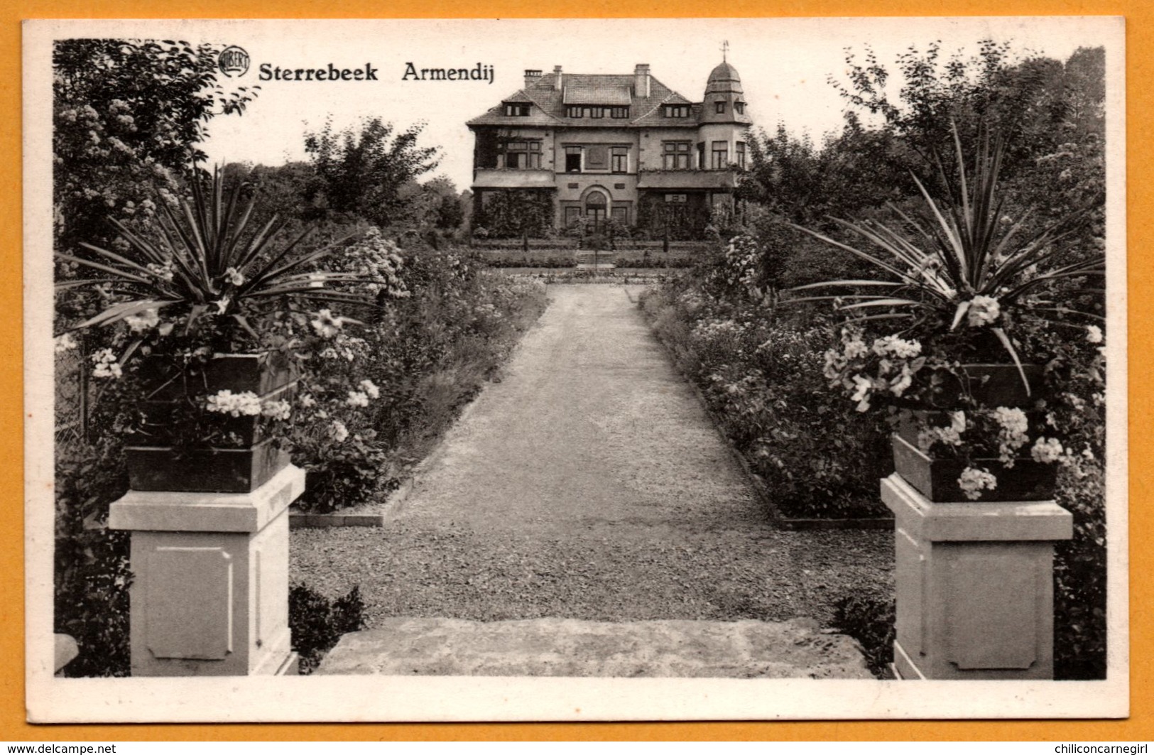 Sterrebeek - Armendij - ALBERT - GOOSSENS - Zoutleeuw