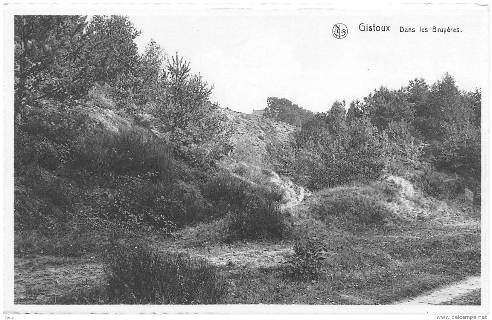 GISTOUX - Dans Les Bruyères - Chaumont-Gistoux