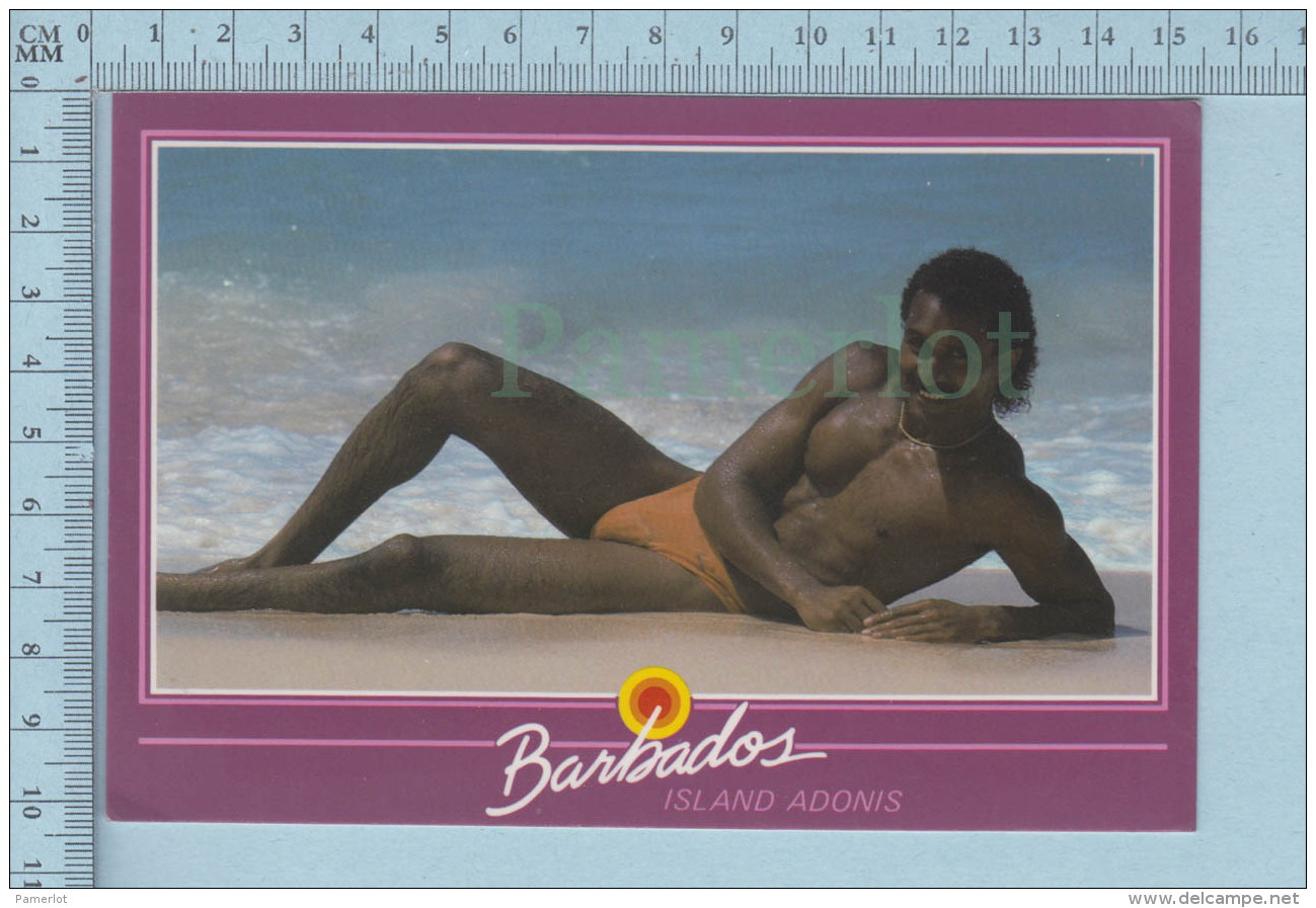 PIN UPS BOYS - Barbados Island Adonis -  SEXY MALE - MODEL GAY INTEREST PHOTO Future World Production - Pin-Ups