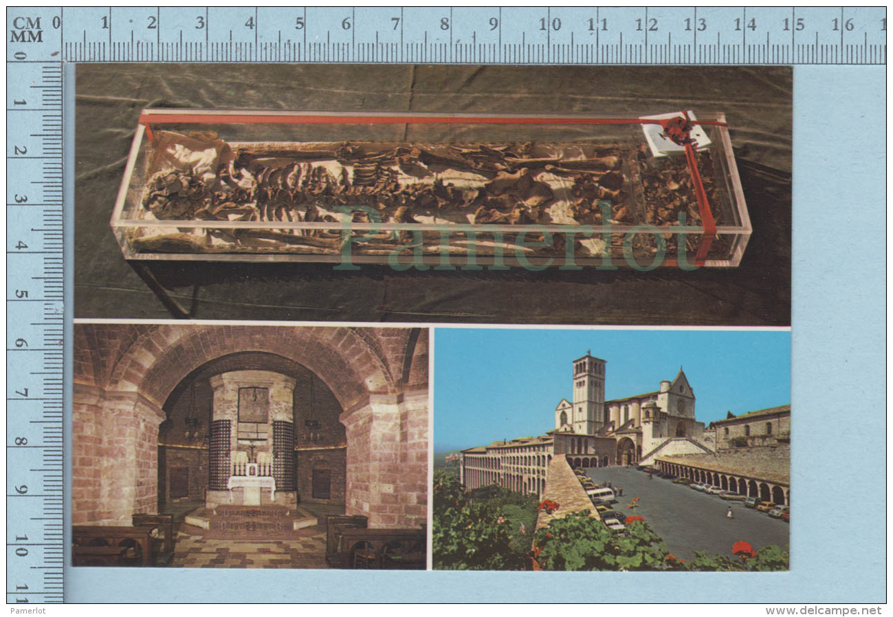 Religion - Assisi, La Dépouille Mortelle De St. Francois D'Assise Et Son Tombeau, Multi-vues- Postcard Carte Postale - Autres & Non Classés