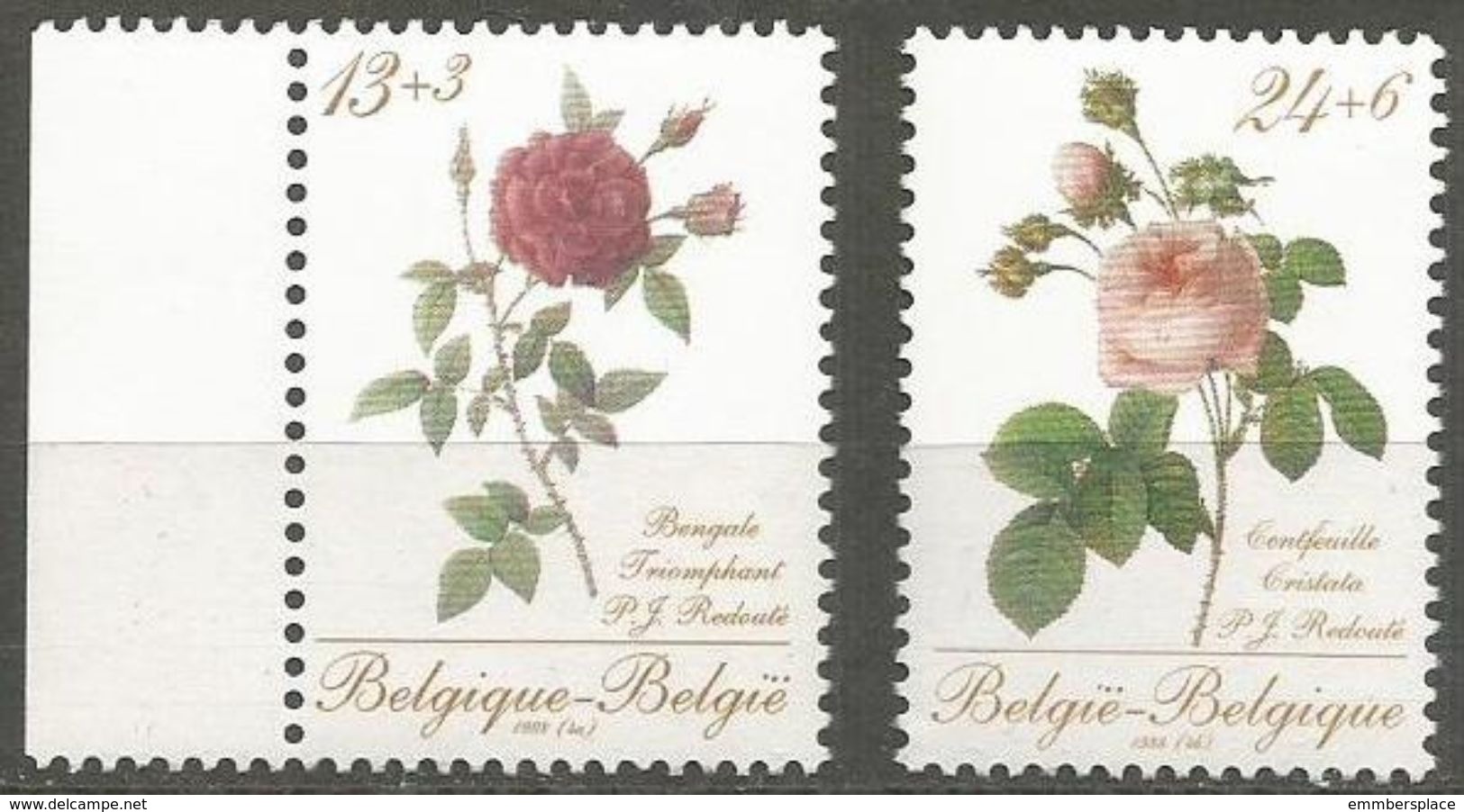 Belgium - 1988 Roses Set Of 2  MNH **    Sc B1069-70 - Unused Stamps