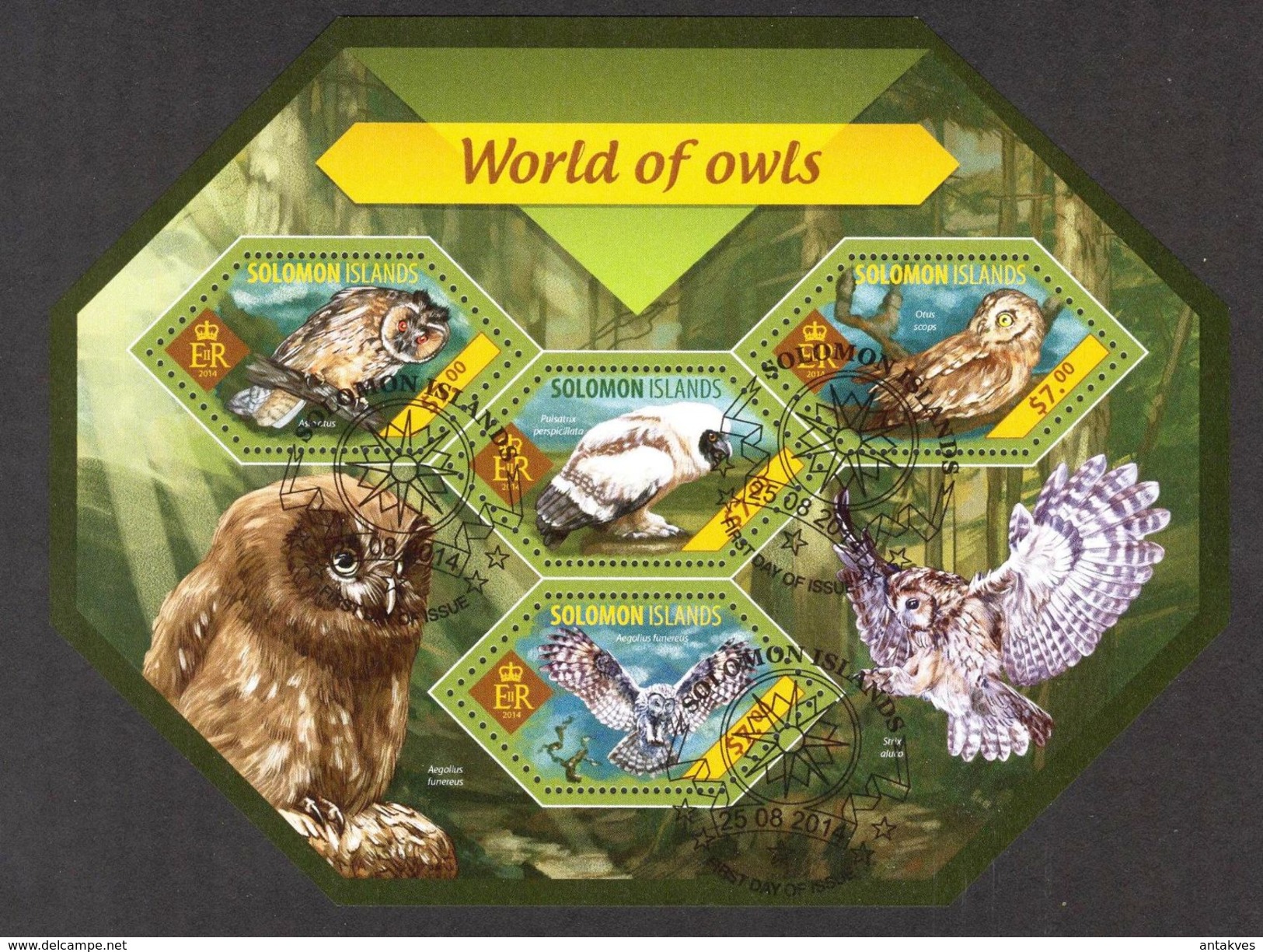 {SO10} Solomon Islands 2014 Birds Owls Sheet Used / CTO - Solomoneilanden (1978-...)