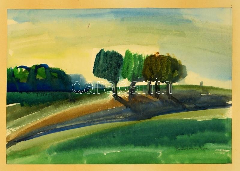 Brankovics Éva (1938-): Facsoport A Réten. Akvarell, Papír, Jelzett, üvegezett Keretben, 22×34 Cm - Sonstige & Ohne Zuordnung