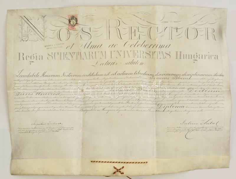 1886 Jogi Diploma Pergamenen Függőpecsét Nélkül - Ohne Zuordnung