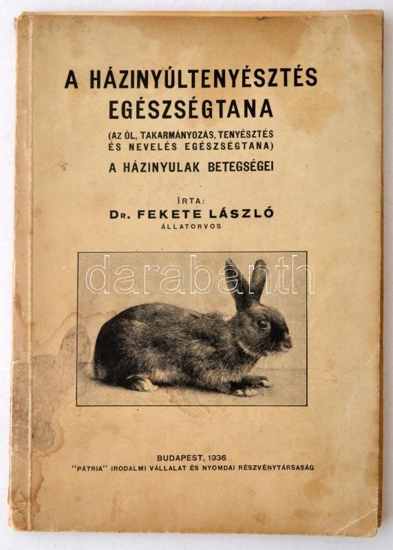 Dr. Fekete László: A Házinyúltenyésztés Egészségtana. (Az ól, Takarmányozás, Tenyésztés és Nevelés Egészségtana.) A Házi - Ohne Zuordnung