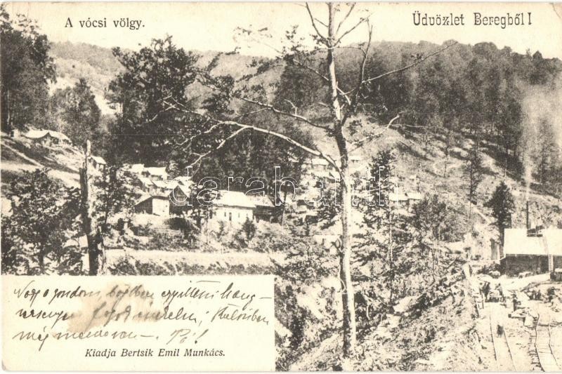 T2/T3 Vócsi-völgy (Bereg); Fűrésztelep Vasúttal / Saw Mill With Railway  (EK) - Unclassified