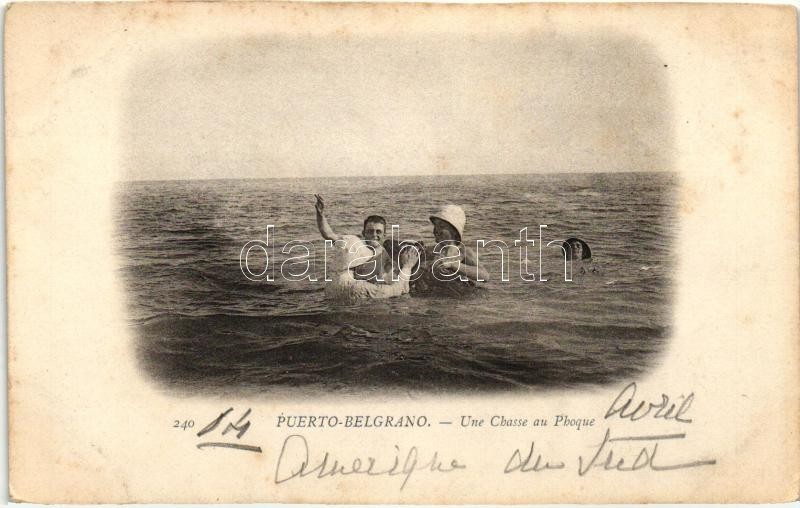 * T4 Puerto Belgrano, Une Chasse Au Phoque / Seal Hunt (cut) - Ohne Zuordnung