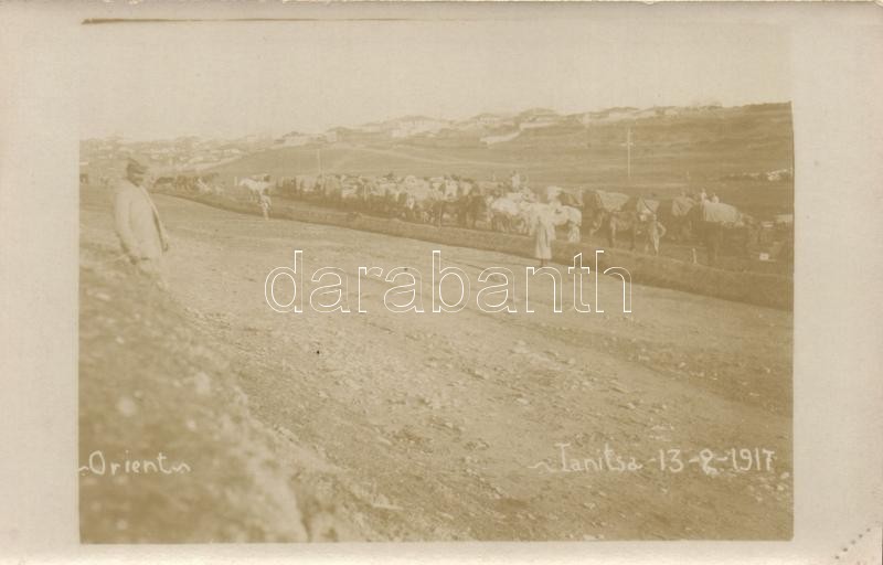 * T2 Giannitsa, Yenitsa; Caravan Of Carts, Probably With Soldiers, Photo - Ohne Zuordnung