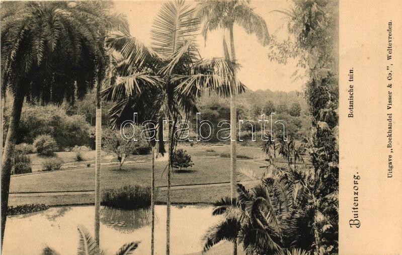 ** T1 Bogor, Buitenzorg; Botanical Garden - Ohne Zuordnung