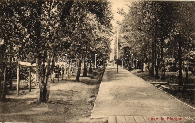 * T1/T2 Plaju, Pladjoe; Promenade - Ohne Zuordnung