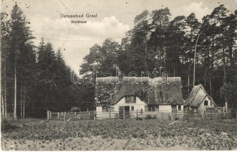 T3 Graal-Müritz, Ostseebad, Waldhaus / Forest House (kis Szakadás / Small Tear) - Ohne Zuordnung