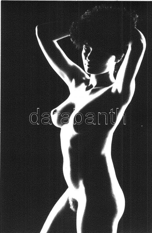 ** T2 Erotic Nude Lady. Photo (non PC) - Ohne Zuordnung