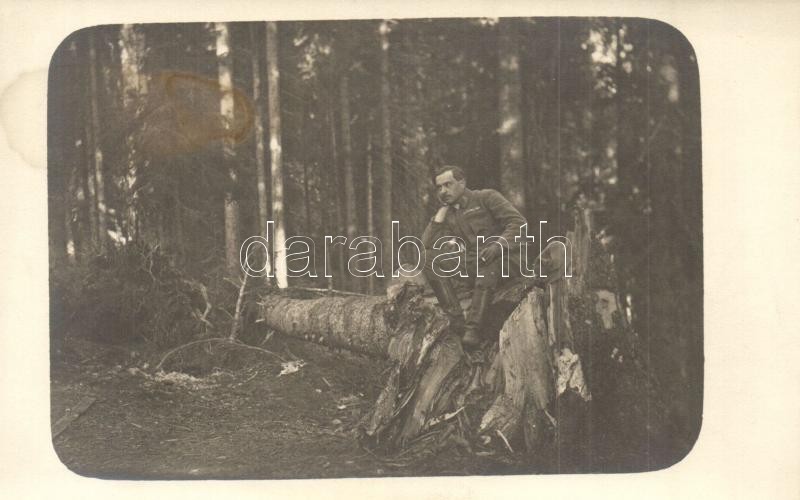 * T2/T3 Osztrák-magyar Katona A Fronton Egy Kidőlt Fán ül / WWI Austro-Hungarian K.u.K. Soldier At The Front Sitting On  - Ohne Zuordnung