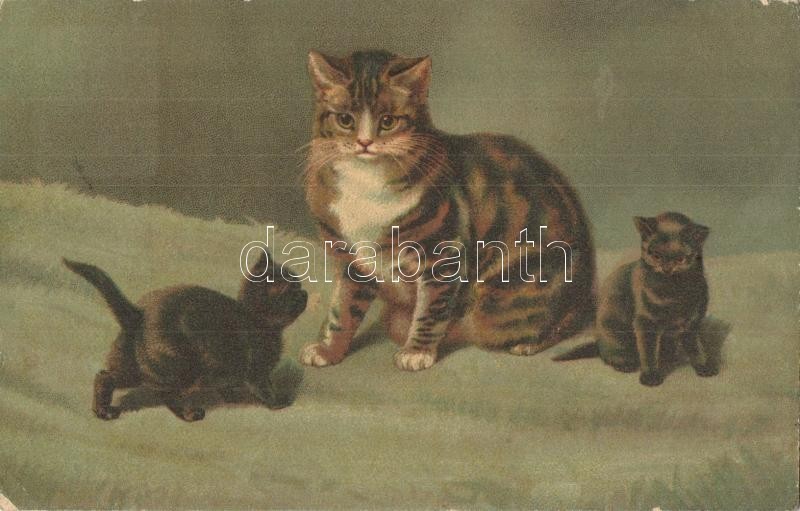 T2/T3 Cats. Wenau-Pastell No. 938.  Litho - Ohne Zuordnung