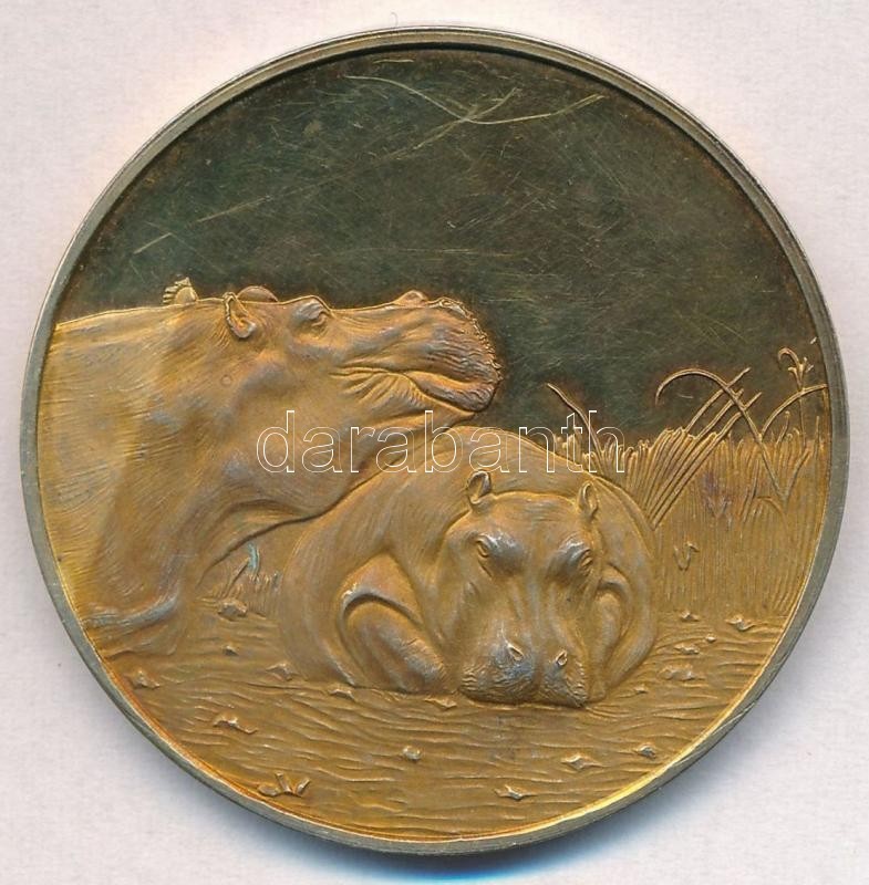 Dél-Afrika 1976-1978. '50 éves Wildlife Society' Jelzett, Aranyozott Ag Emlékérem (37,43g/0.925/45mm) T:2(PP)
South Afri - Ohne Zuordnung