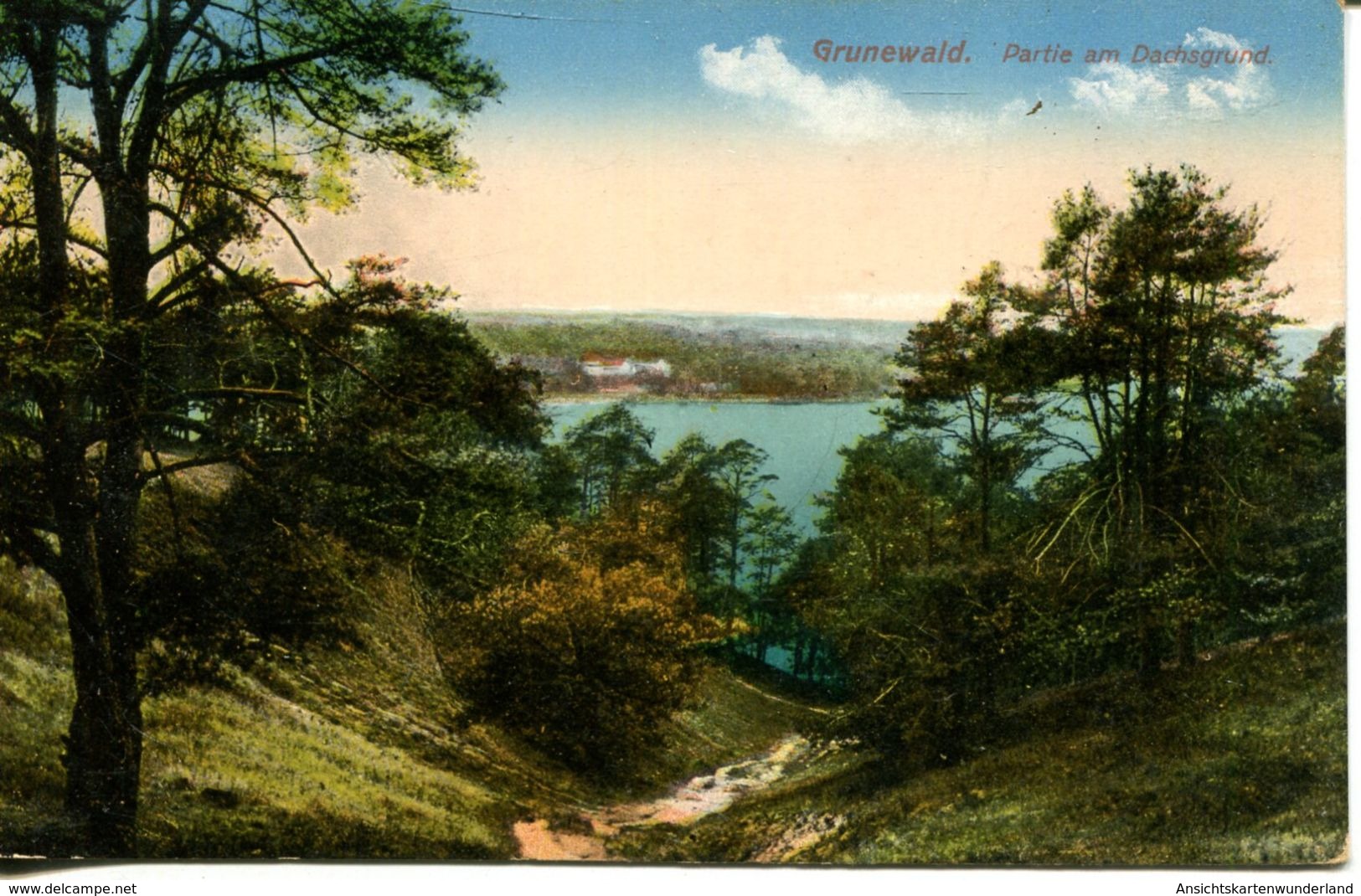 Grunewald- Partie  Am Dachsgrund 1916 (003045) - Grunewald