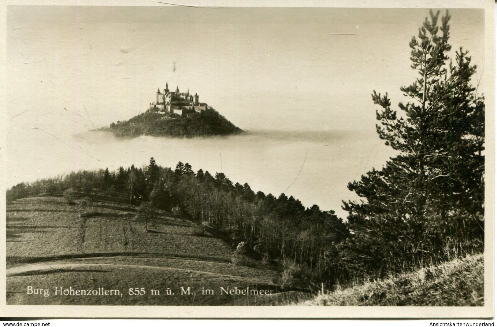 Burg Hohenzollern Im Nebelmeer (003051) - Hechingen