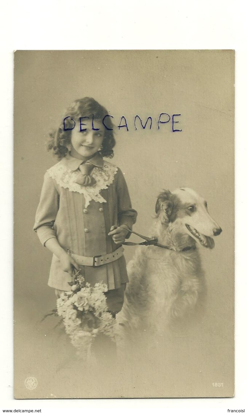 Photographie. Petite Fille Et Lévrier, Bouquet. 1911 - Dogs