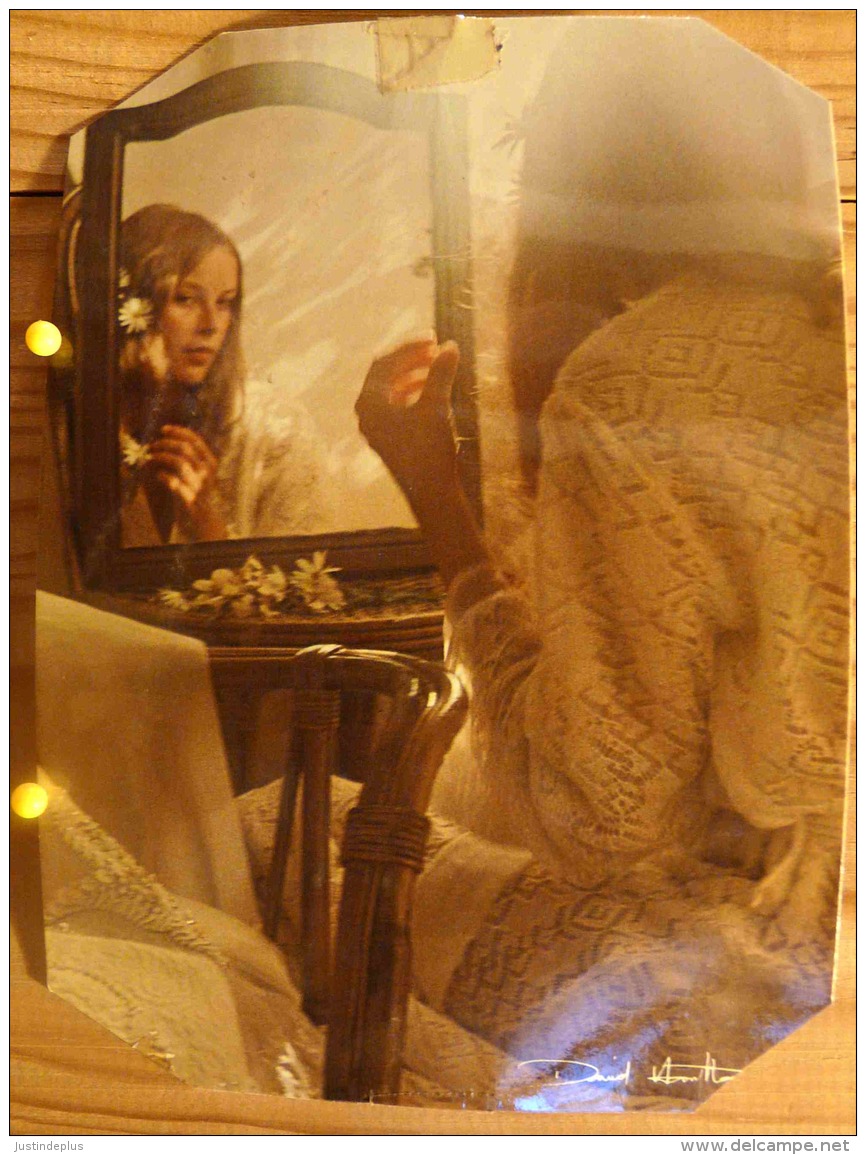 REFLET DAVID HAMILTON PIN UP FEMME DEMI NUE CARTE RECOUPEE GRAND FORMAT SCAN R/V - Hamilton