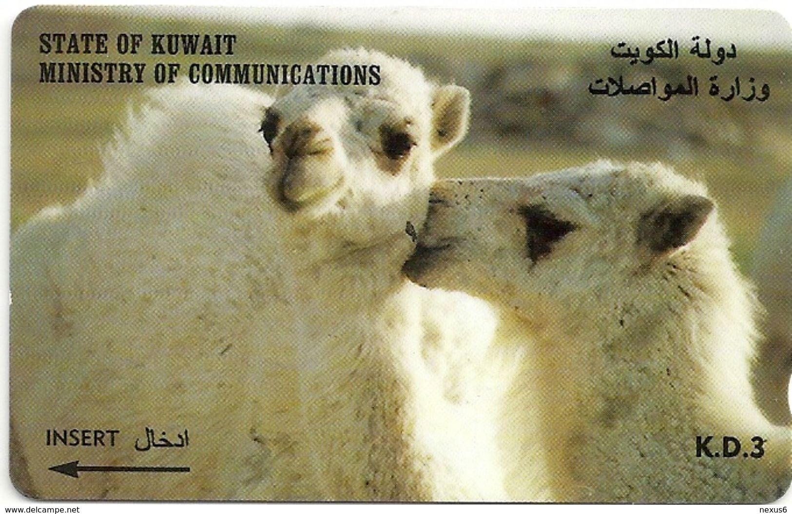 Kuwait - Young Camels - 39KWTB - 1997, Used - Kuwait