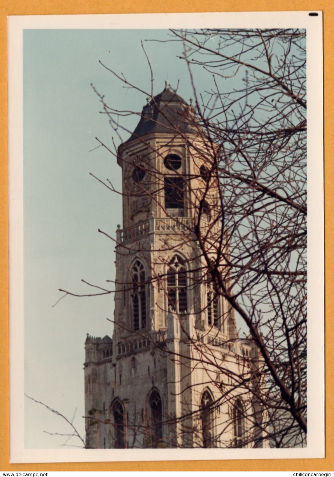 Lier/Lierre - (Province Anvers) - Belgique - Eglise - Kerk - Color - 12,5 X 9 Cm - Lier