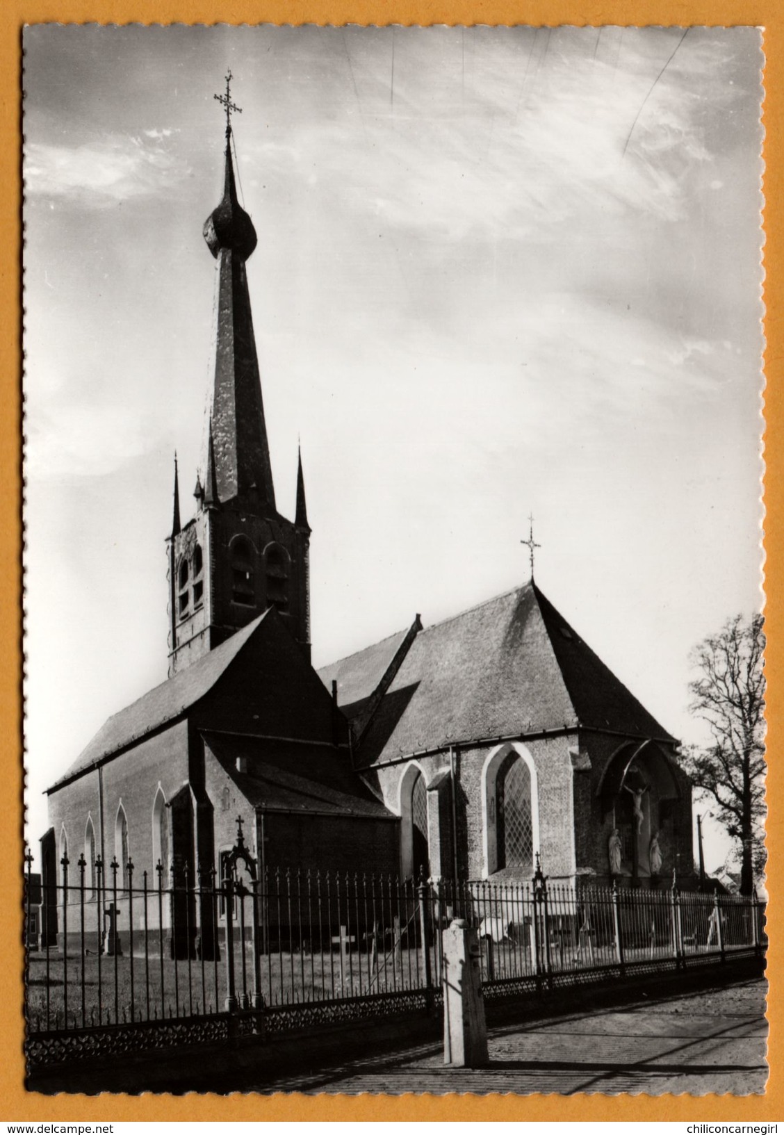 Vorselaar - Kerk - Eglise - Tombes - OLMEN PAUWELS - ECHTE FOTO - Vorselaar