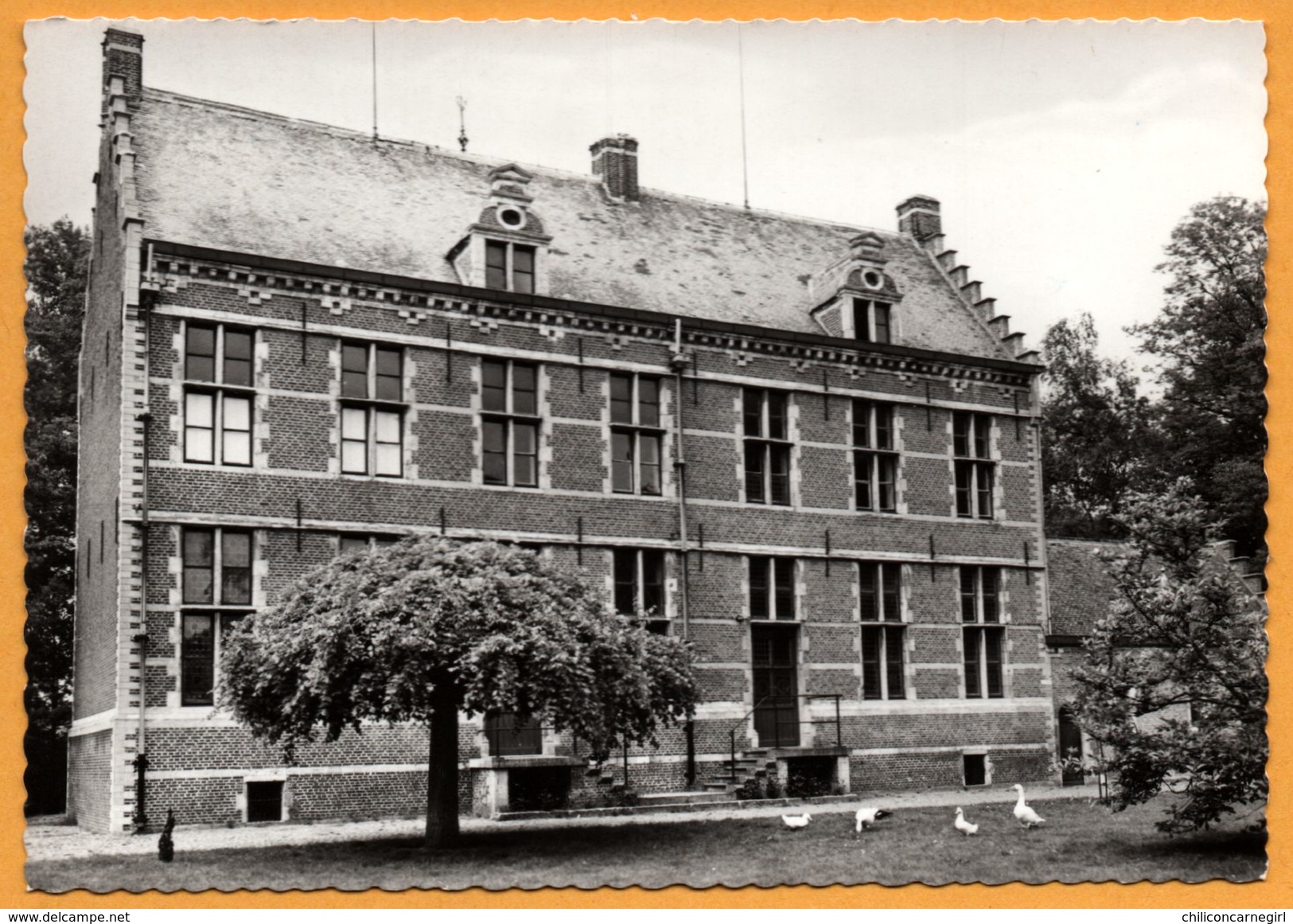 Wechelderzande - Gemeentehuis - Oie - Canard - J. MICHIELSEN - ECHTE FOTO - E.V.E.T. - Lille