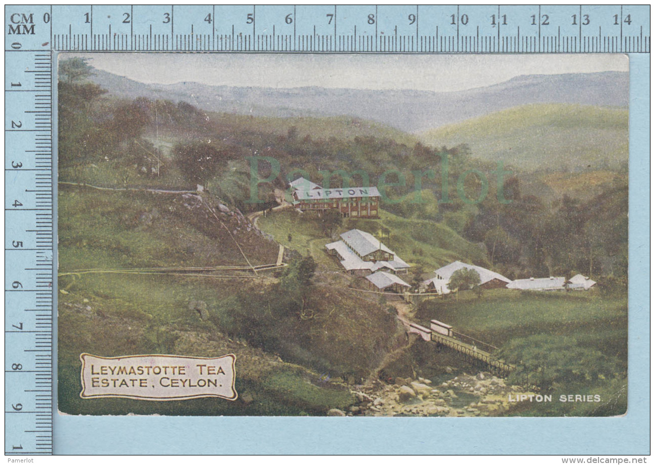 Ceylon -  Lesmastotte Tea Estate , Cover  Parry Sound 1908 Ont, Canada - Postcard Carte Postale - CPA - Sri Lanka (Ceylon)