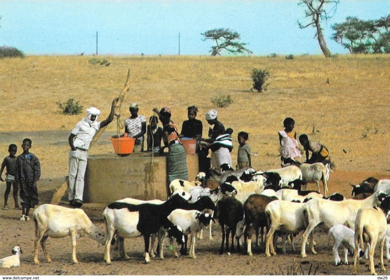 Sénégal -Scène De Puissage (puisage) - Edition Wakhatilene, Saint-Louis - Carte N° 28 Non Circulée - Sénégal