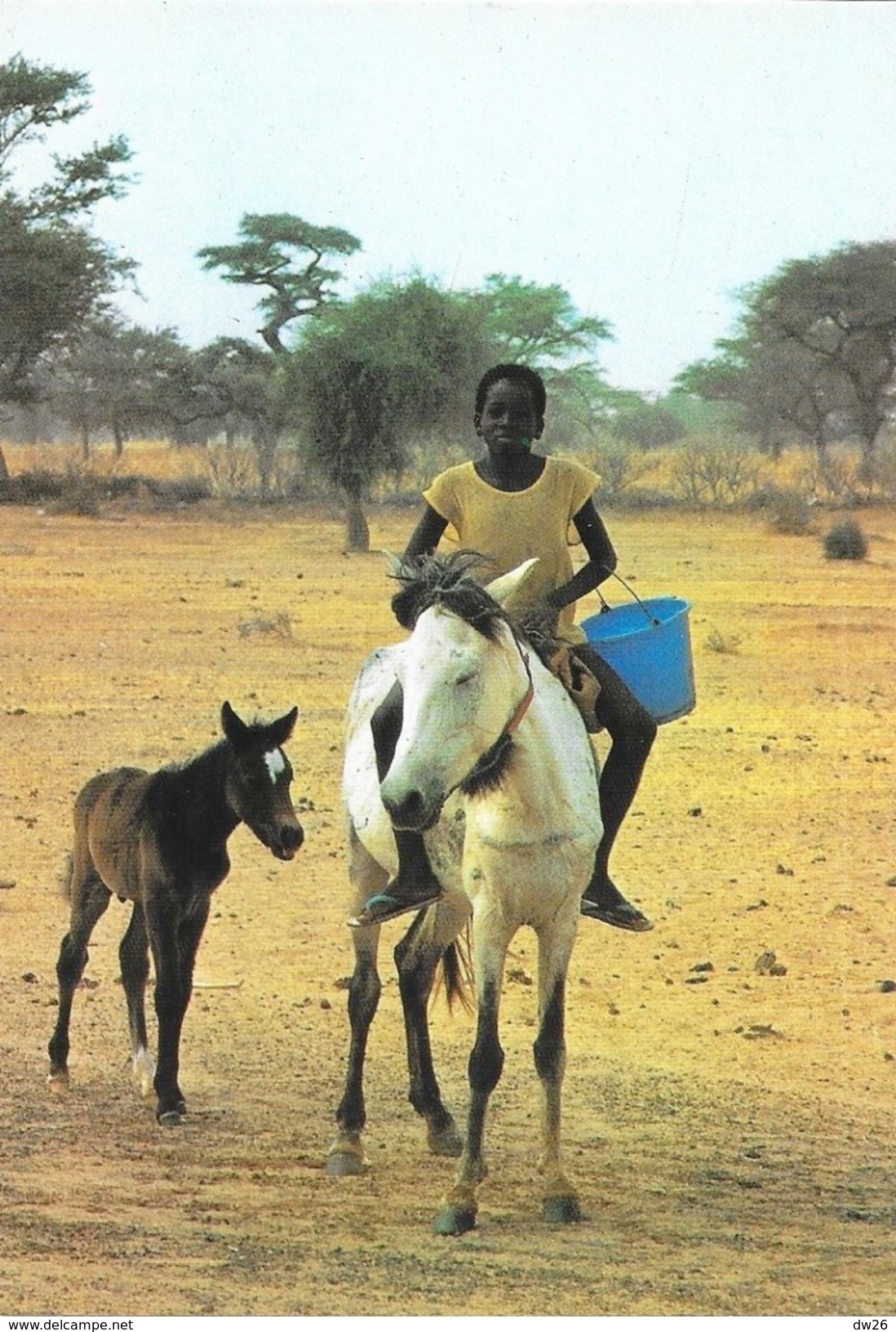 Sénégal -Scène De Vie (à Cheval) - Edition Wakhatilene, Saint-Louis - Carte N° 49 - Senegal