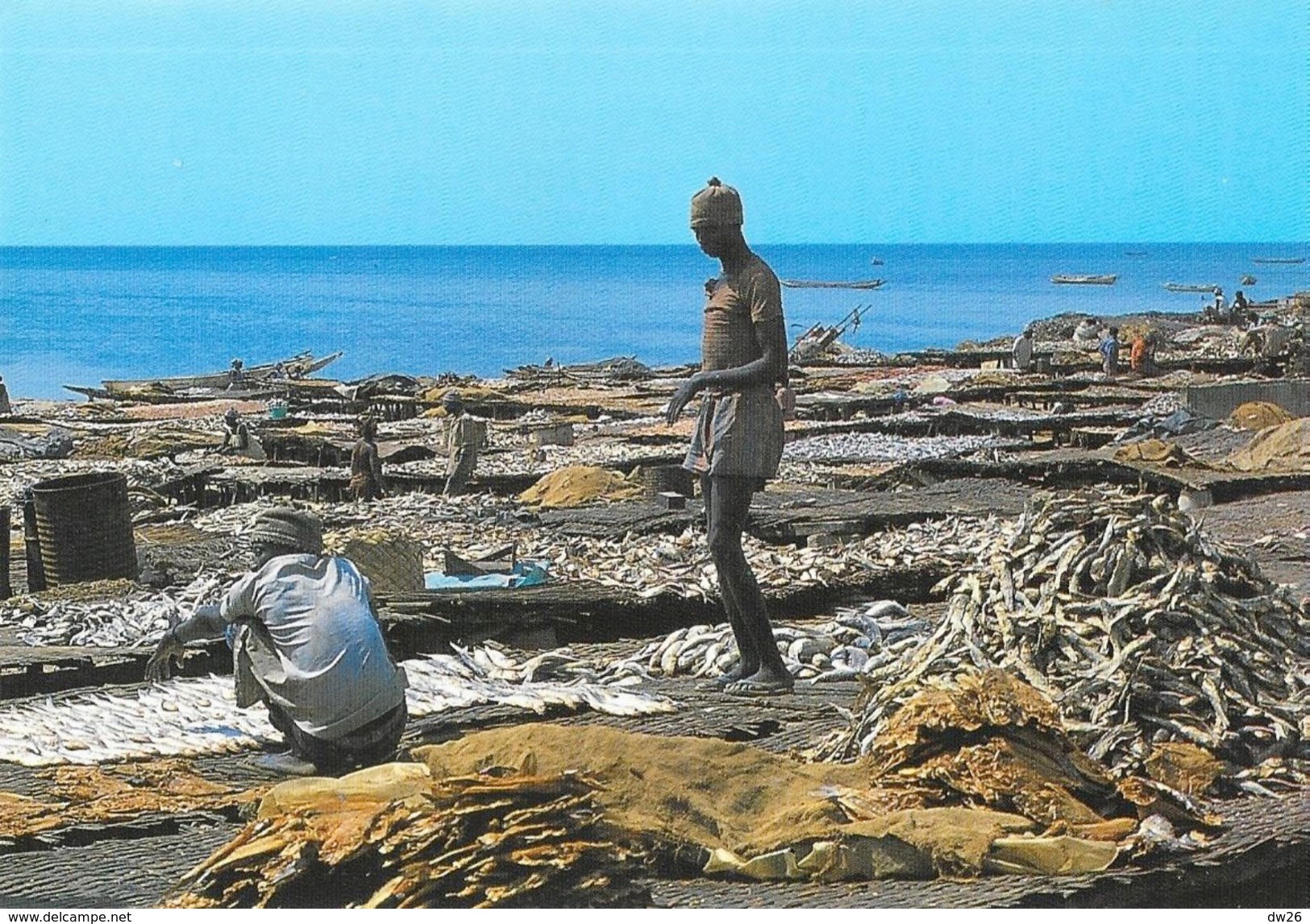 Sénégal - Pêche: Séchage Des Poissons - Edition Wakhatilene, Saint-Louis - Carte N° 15 Non Circulée - Sénégal