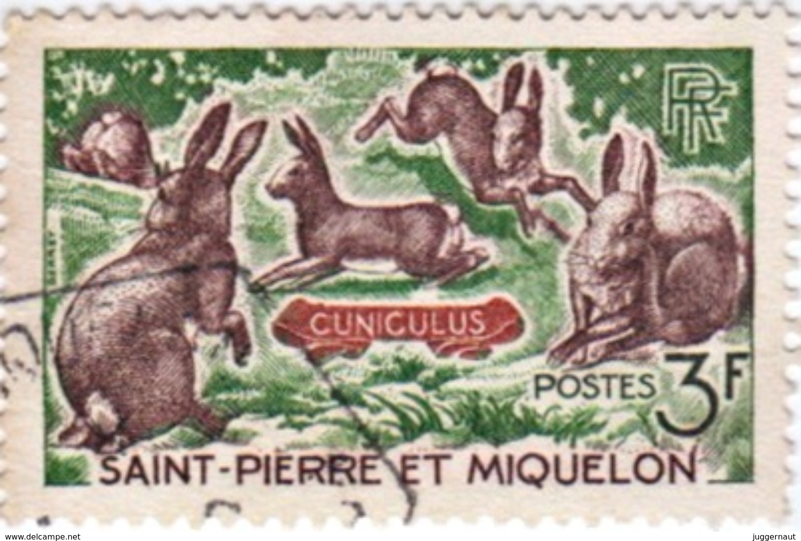 WILD RABBITS 3f POSTAGE STAMP ST.PIERRE & MIQUELON 1964 USED/GOOD - Usados