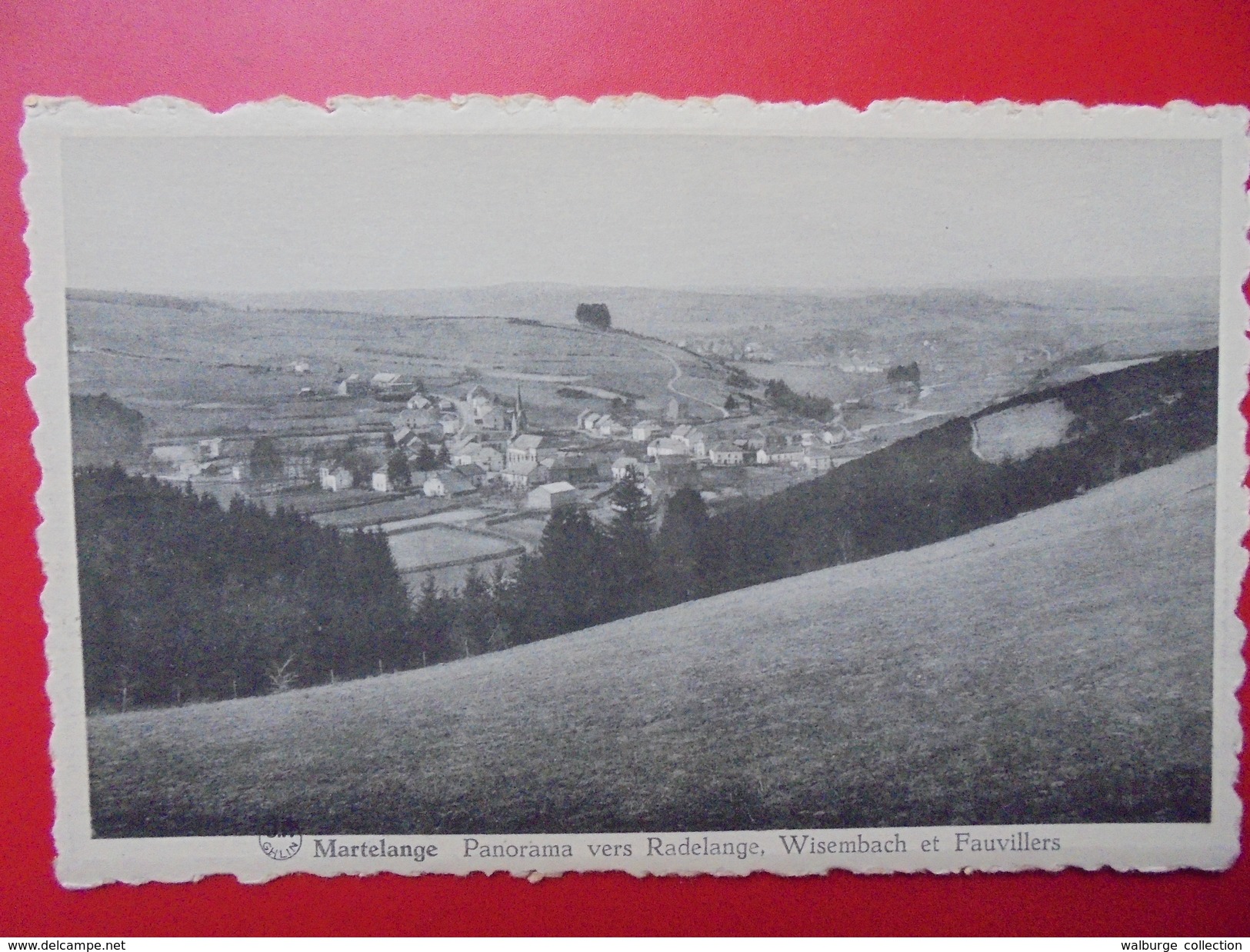 Martelange :Panorama Vers Radelange, Wisembach Et Fauvillers (M108) - Martelange