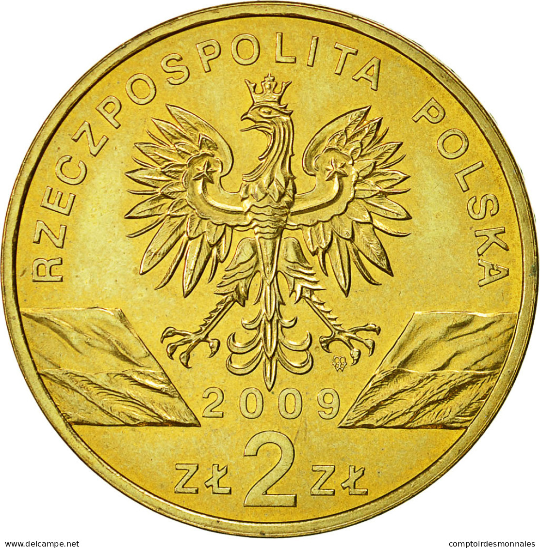 Monnaie, Pologne, 2 Zlote, 2009, Warsaw, SUP+, Laiton, KM:678 - Pologne