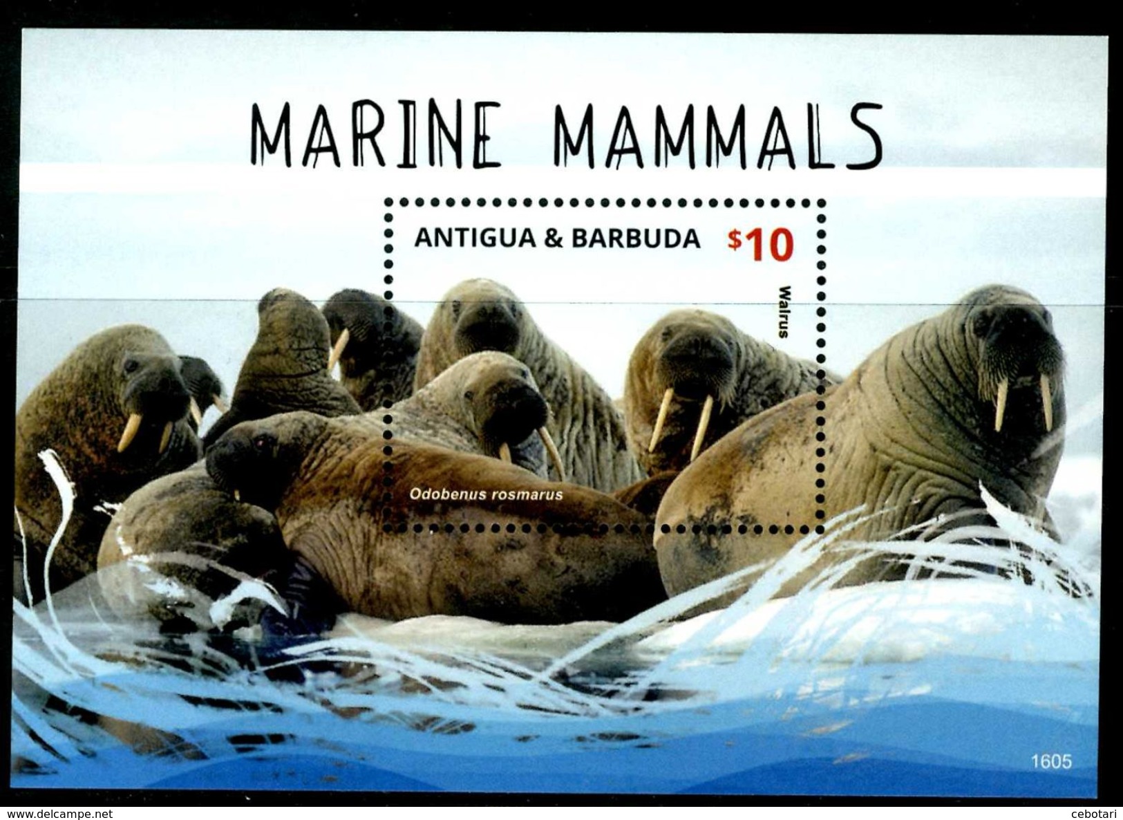 ANTIGUA & BARBUDA 2016** - Marine Mammals - Block  MNH, Come Da Scansione. - Sonstige & Ohne Zuordnung