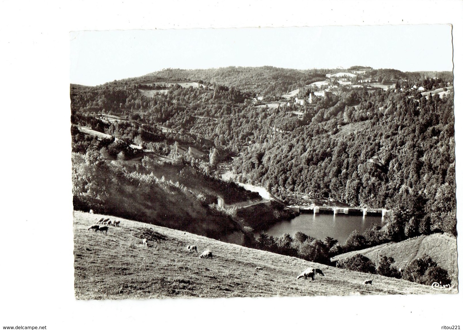 Cpm - 81 - Brassac - FERRIERES - Moutons Au Pré - Mouton - Cim 5675 - Brassac