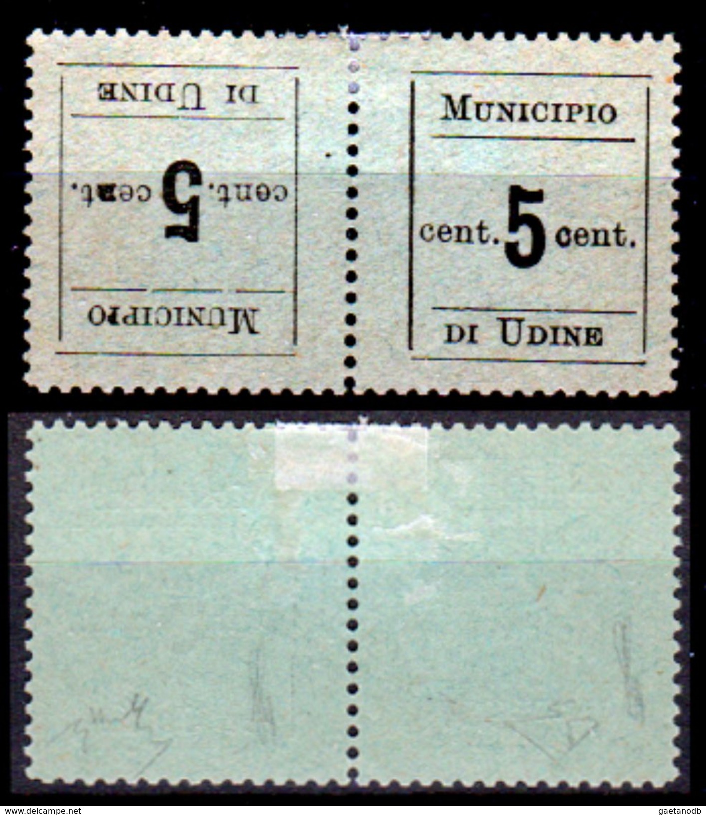 Italia-F1883 - Occupazione Austriaca - Udine 1918: Sassone N. 1c (+) LH - "Tete-beche" Firmati - Senza Difetti Occulti. - Udine