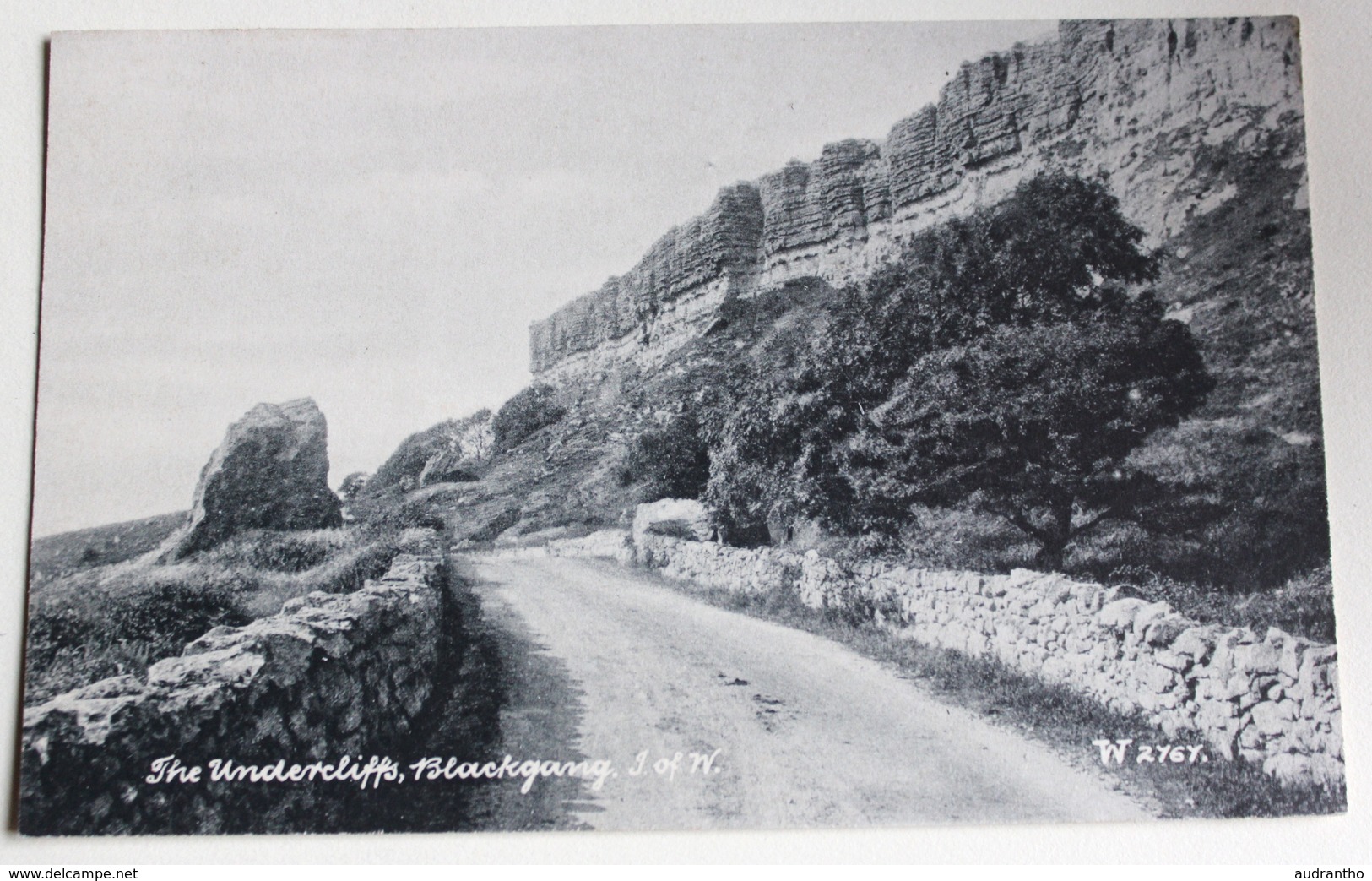 CPA Angleterre Undercliff Blackgang Isle Of Wight - Autres & Non Classés